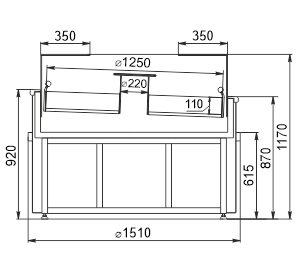 Promotional merchandiser Missouri promo AC 148 fish LD 117-DLA