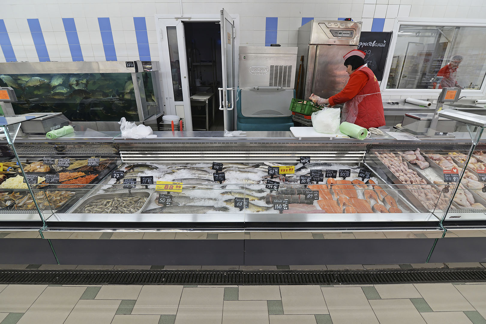 Missouri enigma MC 125 fish self 084-SLM